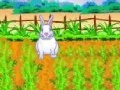 Juego Playful Bunnies