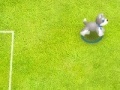 Juego Pet soccer