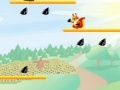 Juego Squirrel