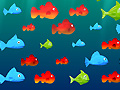 Juego Feed the Fish