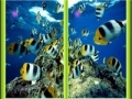 Juego Underwater Similarities