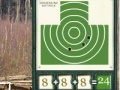Juego Sharpshooter. The pistol.