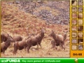 Juego Hidden Spots Animals