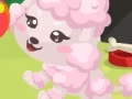 Juego Poodle care