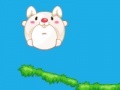 Juego Rolling rabbit