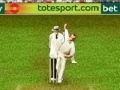 Juego Cricket 3d