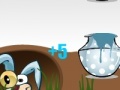 Juego Crazy Rabbit Contest
