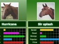 Juego Horse bet racing