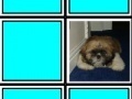 Juego In memory: puppies