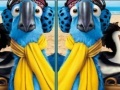 Juego Rio, spot the difference