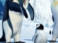 Juego Hidden Numbers Happy Feet Two