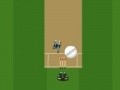 Juego Cricket Master Blaster