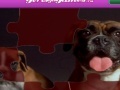 Juego Jigsaw world puppies