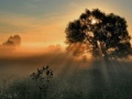 Juego Sunset