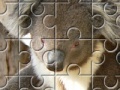 Juego Austrailian Koala Bears 