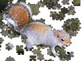 Juego Jigsaw: Posing Squirrel
