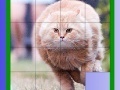 Juego Fat Cat Slide Puzzle