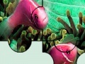Juego Colorful sea fishes puzzle