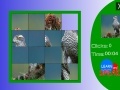 Juego Japanese Sparrowhawk slide puzzle