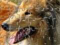 Juego Pet Puzzles: Dogs