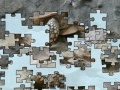 Juego Turtle puzzle