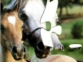 Juego Horses Puzzle