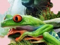 Juego Puzzle Frog