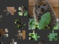Juego Hedgehog Puzzle 