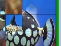 Juego Fish Slide Puzzle 