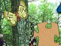 Juego 3D Real Puzzle butterfly