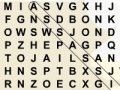 Juego Ninja Word Search 