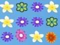 Juego Collect flowers