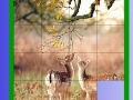 Juego Two Deer Slide Puzzle
