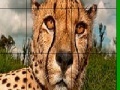 Juego Big head cheetah slide puzzle