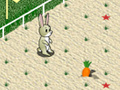 Juego Animal 4 Steps