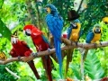 Juego Zoo Hidden Objects 