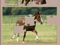 Juego Jigsaw Horse