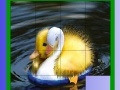 Juego Cute Chicks Slide Puzzle