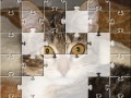 Juego Jigsaw: The Kitten