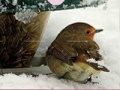 Juego Little Bird And Snow Puzzle 