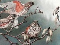 Juego Birds on a tree slide puzzle