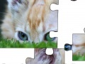 Juego Jigsaw: Cat Hiding