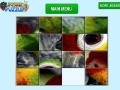 Juego Parrot Eye Slider