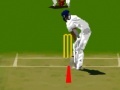 Juego Virtual cricket