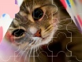 Juego Cat really cute 3 puzzle