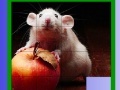 Juego Puzzle: Apple and Mouse
