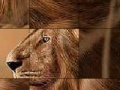 Juego Big brave lion slide puzzle