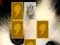 Juego Cute cat memory