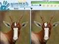 Juego Gimme 5 Wildlife