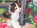 Juego Hidden Numbers Cat